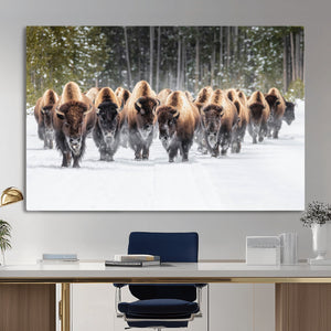 American Bison Herd Wall Art Canvas Print – Powerful Winter