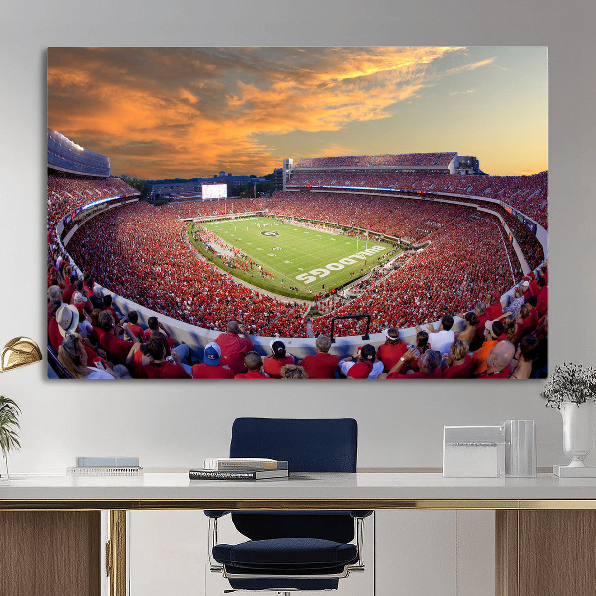 Dooley Stadium Wall Art, Sports Arena Canvas Print, Dooley