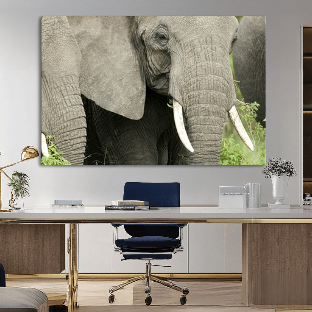 Wild Elephant Wall Art Canvas Print