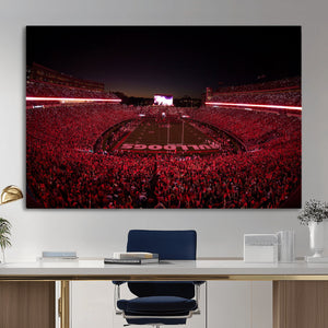 Sanford Stadium Wall Art Canvas Print – Georgia Bulldogs