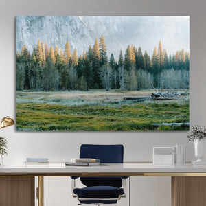Forest Meadow Wall Art Canvas Print, Pine Tree Landscape