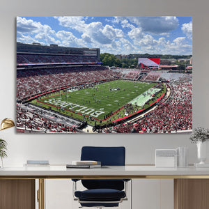 Georgia Bulldogs Stadium Wall Art Canvas Print, Sanford