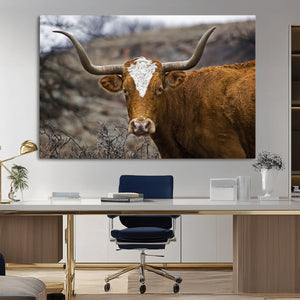 Texas Longhorn Canvas Wall Art - Longhorn Steer Canvas Wall