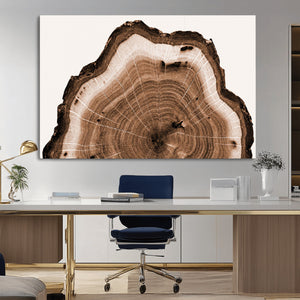 Rustic Wood Rings Wall Art | Nature-Inspired Tree Ring