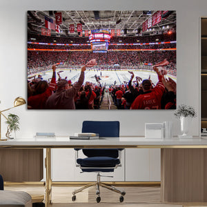 Carolina Hurricanes Ice Hockey Stadium Wall Art, Carolina