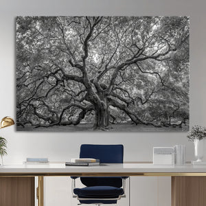 Majestic Angel Oak Tree Black and White Canvas Print – Multi