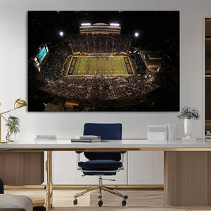 Wake Forest University Demon Deacons Canvas Printi, Football