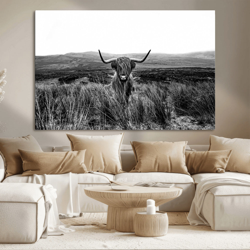 Black and White Highland Cow Canvas Wall Art, Longhorn