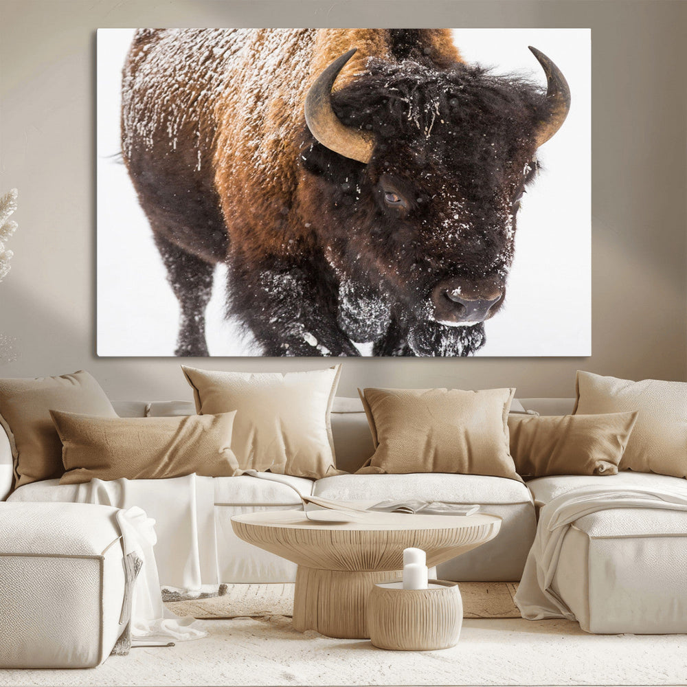 Bison Wall Art Canvas Print For Farmhouse, Wild Animal Wall