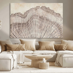 Tree Ring Wall Art Triptych, Rustic Wood Ring Canvas Print,