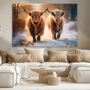 Scottish Highland Cow Horn Farm Wall Art Canvas Print