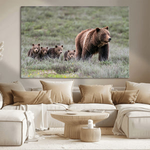 Wildlife Photography of 399 Grizzly Bear Cubs | Queen of the