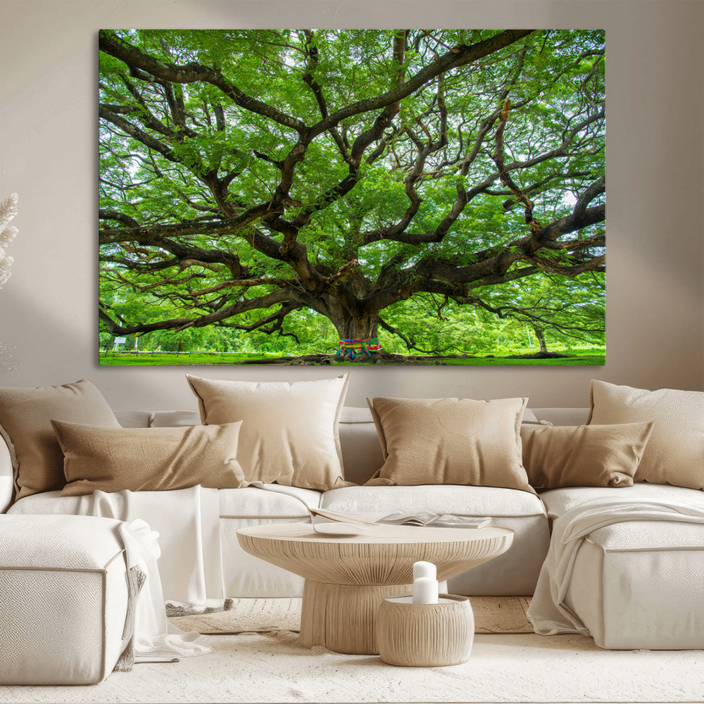 Angel Oak Tree Wall Art Canvas Print – Framed Majestic