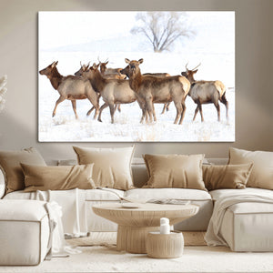 Winter Elk Scene Wall Art Canvas Print – Framed Wildlife