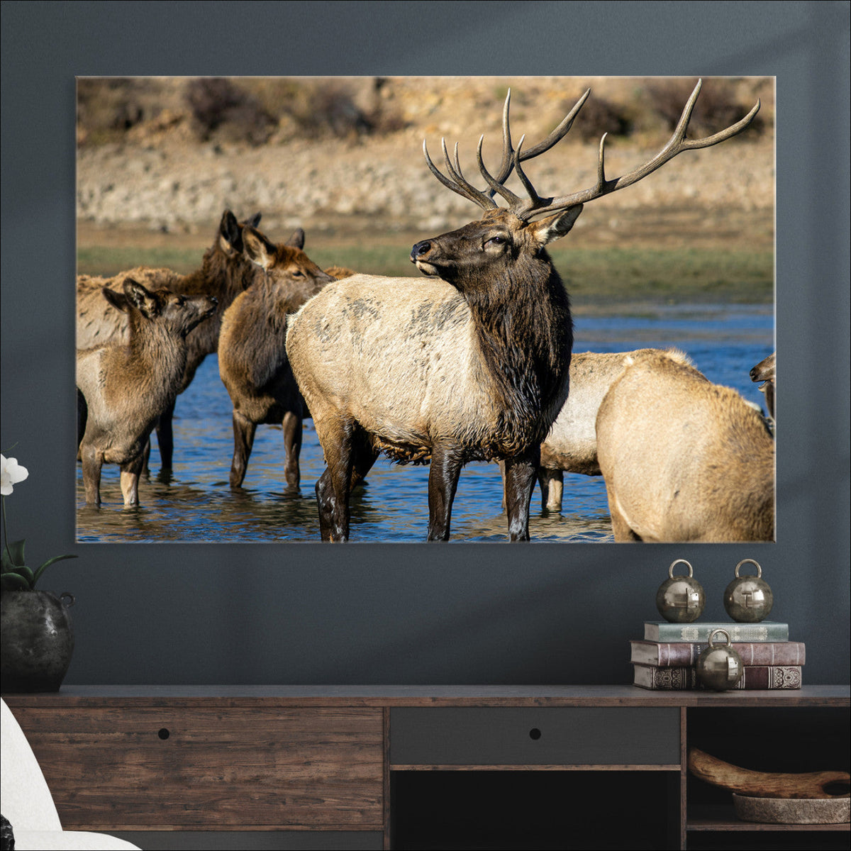 Wild Elk Wall Art Canvas Print – Framed Neutral Wildlife