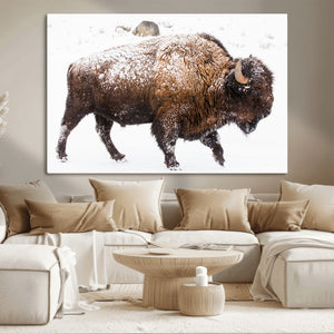 Snowy Buffalo Wall Art Canvas Print – Framed Wildlife