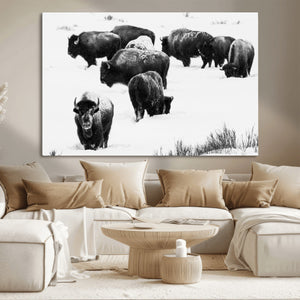 Buffalo Herd Wall Art Canvas Print – Framed Black and White