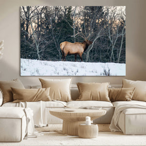 Wild Elk Wall Art Canvas Print – Framed Winter Wildlife