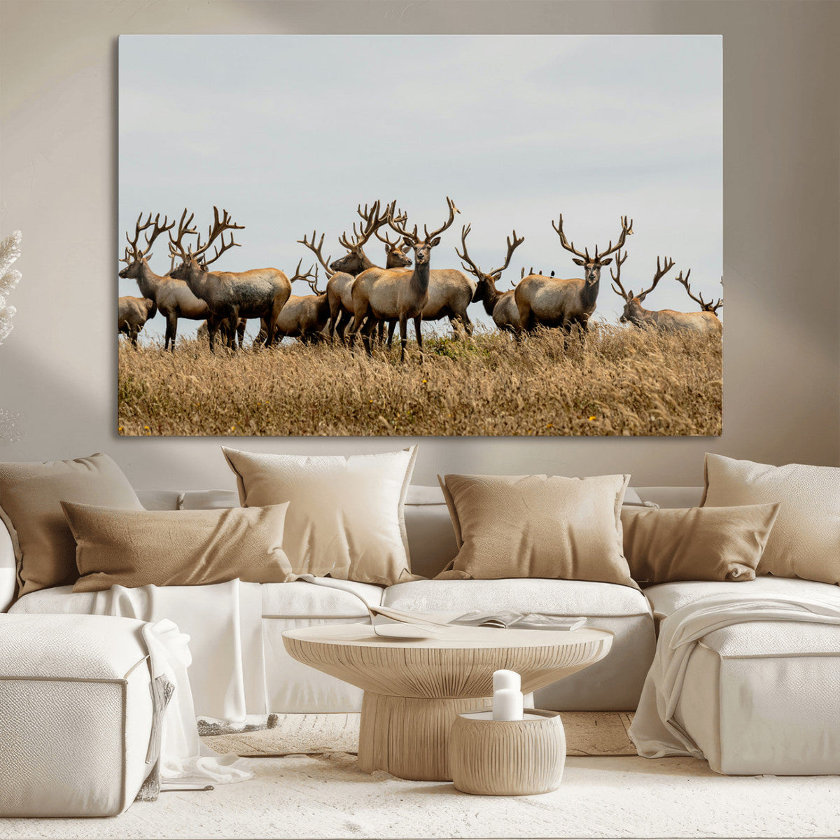 Elk Herd Wall Art Canvas Print – Framed Wildlife Photography