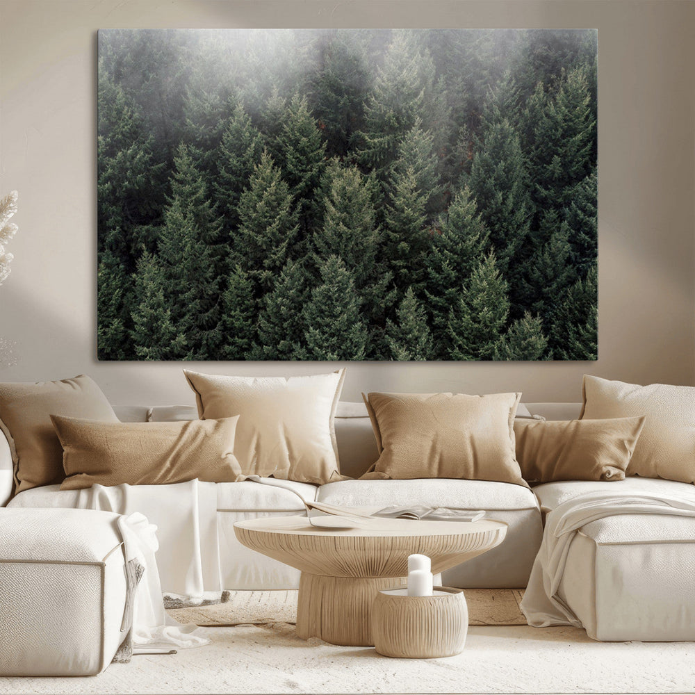 Dense Evergreen Forest Misty Morning Fog Pine Trees Woodland