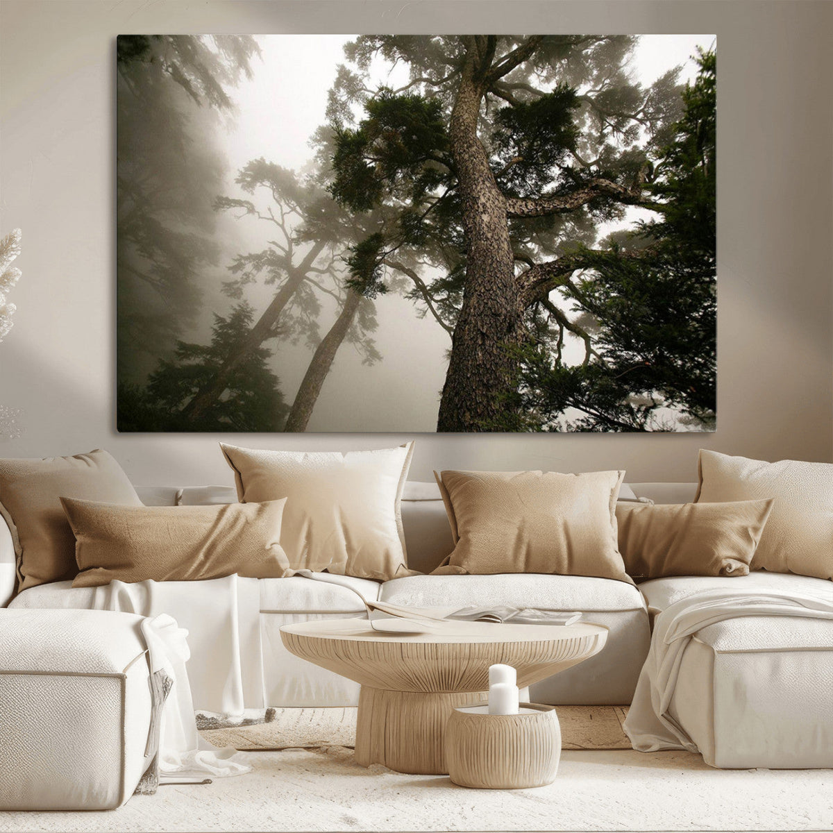 Misty Forest Canvas, Tall Trees Foggy Atmosphere Nature