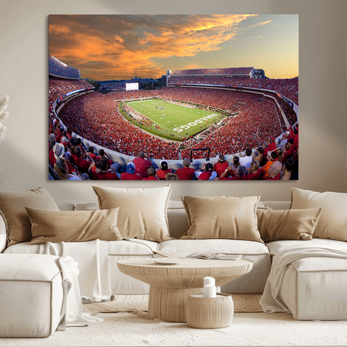 Dooley Stadium Wall Art, Sports Arena Canvas Print, Dooley