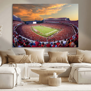 Dooley Stadium Wall Art, Sports Arena Canvas Print, Dooley