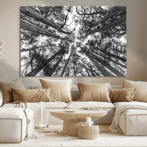 Trees Contemporary Art Canvas Print