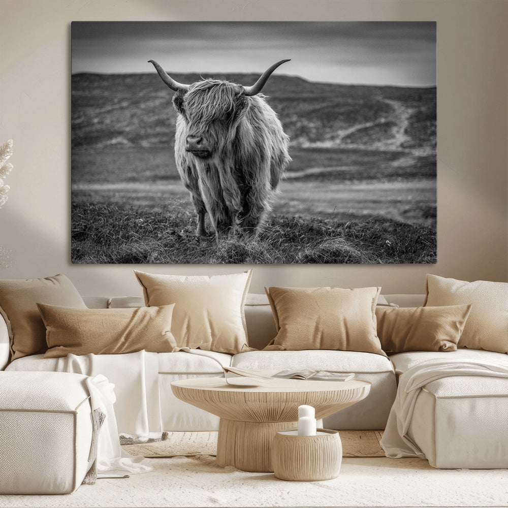 Fluffy Cattle Wall Art Print, Highland Cow Canvas, Framed