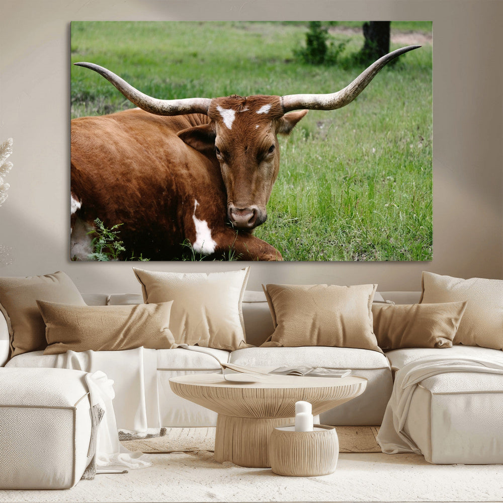 Longhorn Cow Animal Wall Art Canvas Print