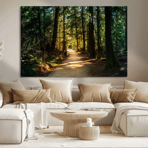 Sunlit Forest Pathway Canvas Print | 3 Panel Large Nature