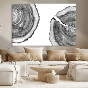 Abstract Large Tree Rings – Minimalist Black and White Wood