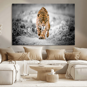 Jaguar Wall Art Canvas Print - Majestic Big Cat in Focused