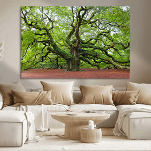 Framed Angel Oak Tree Wall Art - 3-Panel Canvas Prints,
