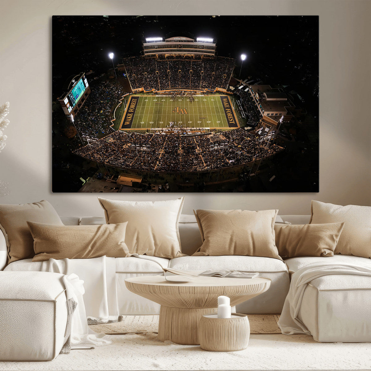 Wake Forest University Demon Deacons Canvas Printi, Football