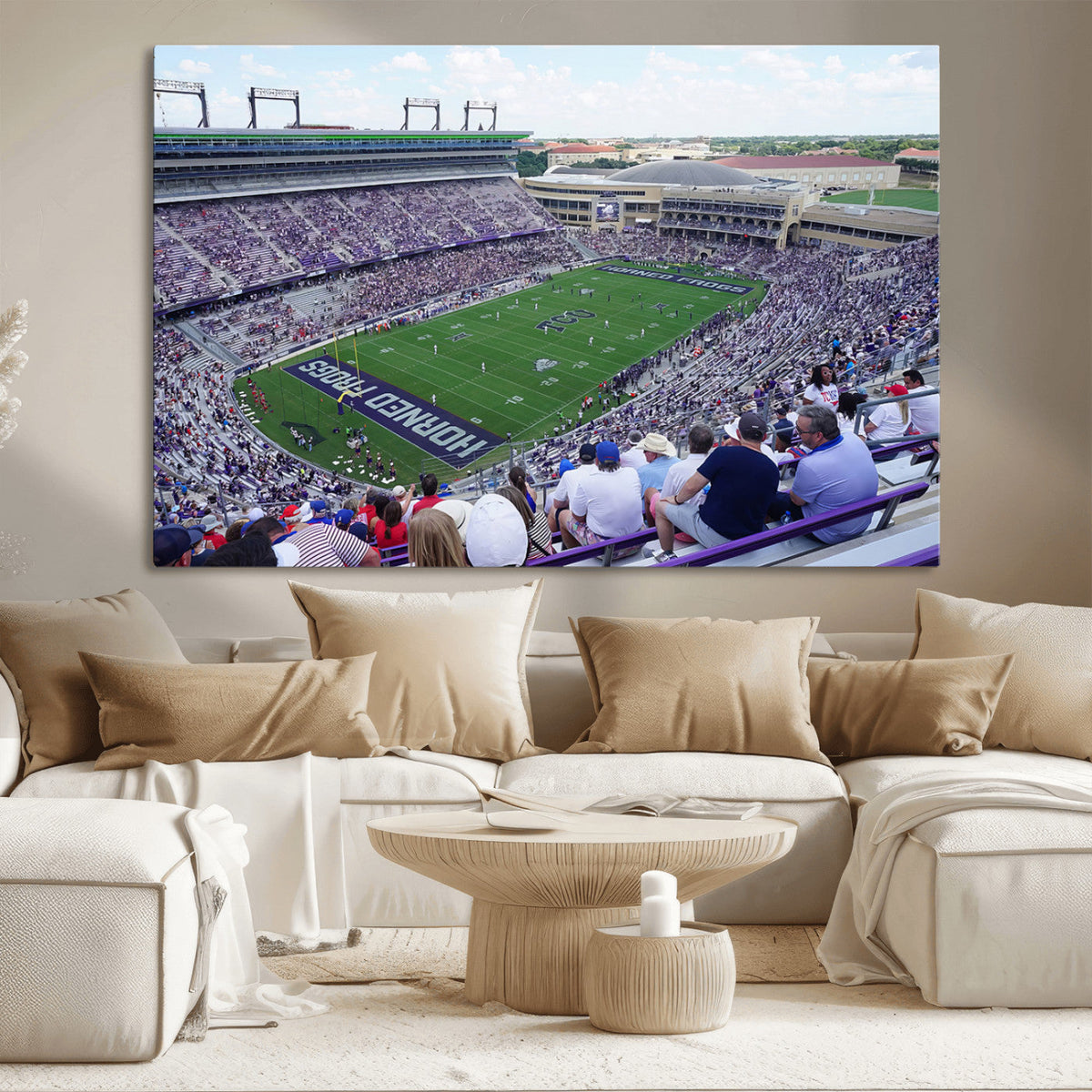The Texas Christian University TCU Horned Frogs Football