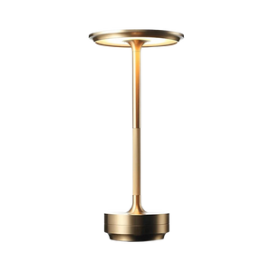 Modern Brass Cone LED Rechargeable Table Lamp Cordless USB-C
