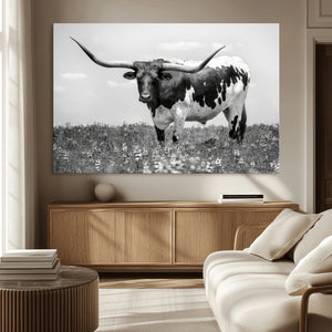 Texas Black White Highland Longhorn Cow Wall Art Canvas