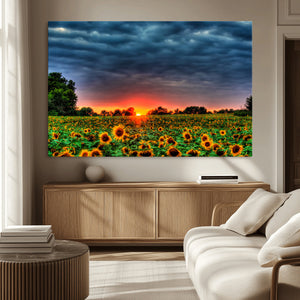 Golden Sunflower Field at Sunset – Breathtaking Sky and