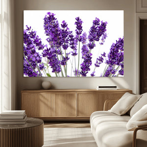 Lavender Flower Wall Art Canvas Print