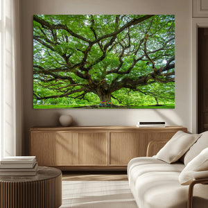 Angel Oak Tree Wall Art Canvas Print – Framed Majestic