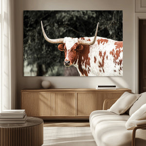Texas Longhorn Wall Art Canvas Print – Framed Spotted Bull