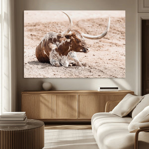 Texas Longhorn Wall Art Canvas Print – Framed Resting Bull