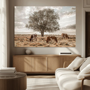 Texas Longhorn Cattle Wall Art, Rustic Western Ranch Canvas
