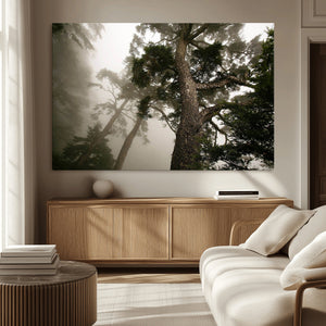 Misty Forest Wall Art Canvas Print, Tall Trees and Foggy