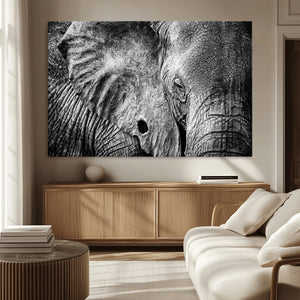Wild Old Elephant Wall Art Canvas Print