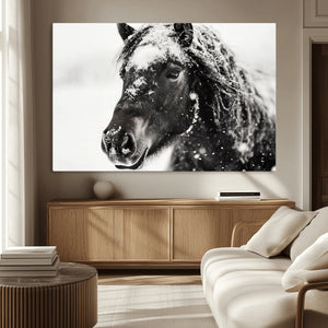 Framed Black and White Horse Wall Art | Ready to Hang and