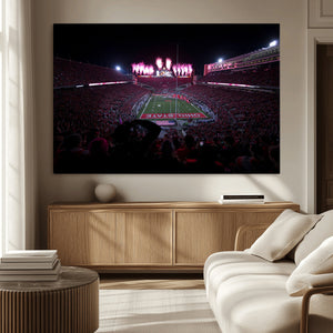 Ohio State University Buckeyes Football Team Print -