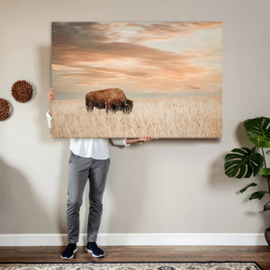 MyCanvas -