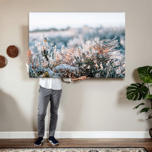 Frosted Fern Wall Art Canvas Print, Soft Winter Botanical